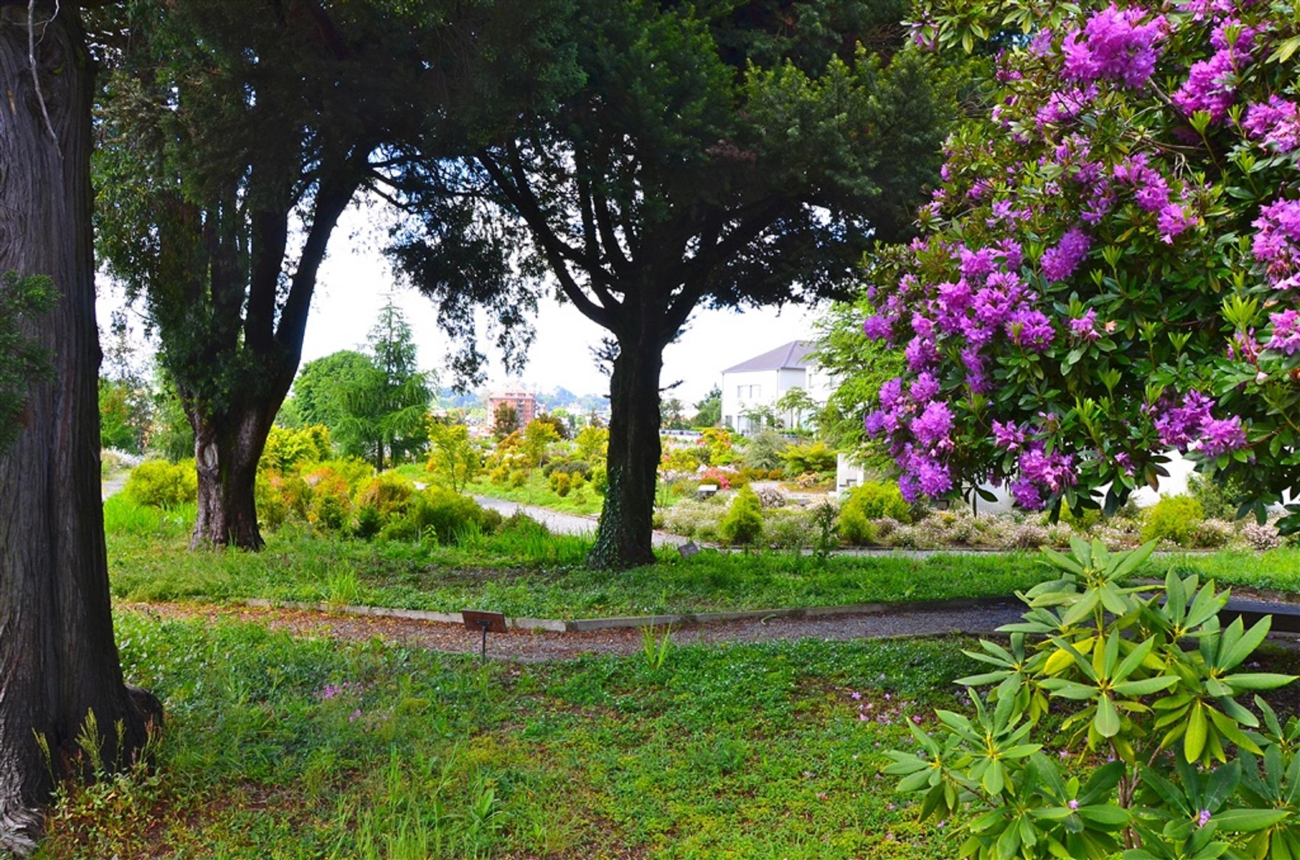 Enjoy Puerto Varas Buitenkant foto The park